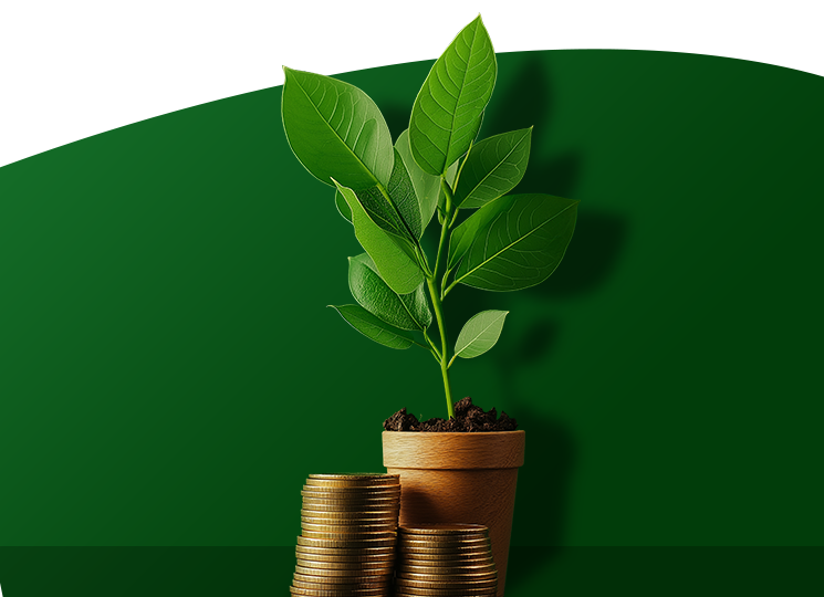 small plant with piles of coins in front of plant