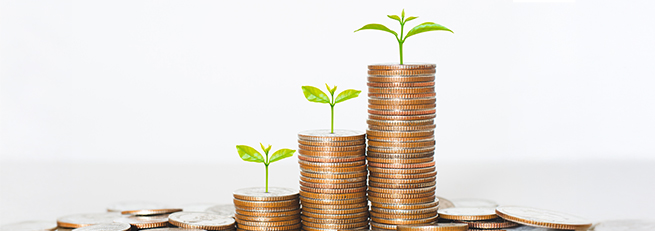 Stack of coins with a leaf on top